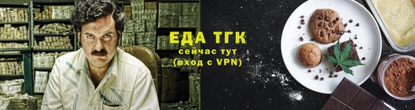 хмурый Пересвет
