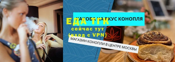 хмурый Пересвет