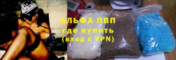 хмурый Пересвет