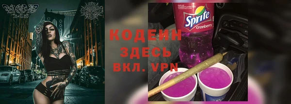 хмурый Пересвет