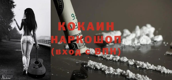 хмурый Пересвет