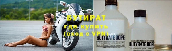 хмурый Пересвет