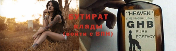 хмурый Пересвет