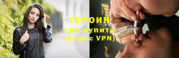 хмурый Пересвет