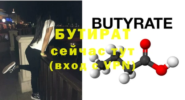 хмурый Пересвет