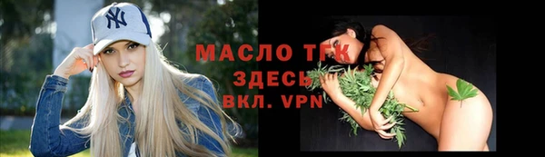 хмурый Пересвет