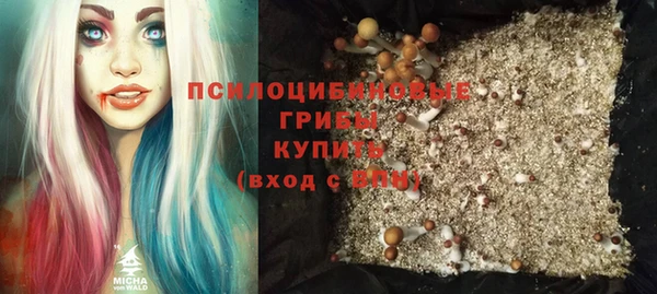 хмурый Пересвет