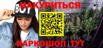 стафф Дубна