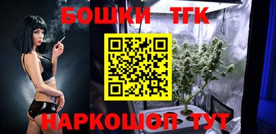 винт Донецк