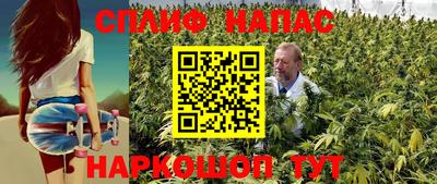 винт Донецк