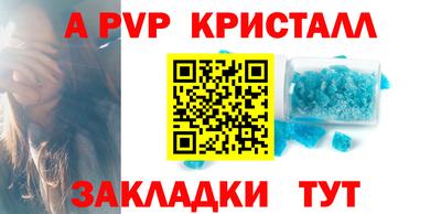 стафф Дубна