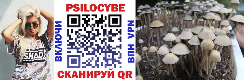 купить наркотик  Кудымкар  Псилоцибиновые грибы ЛСД 
