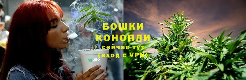 Шишки марихуана SATIVA & INDICA  Кудымкар 